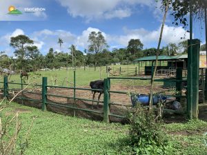 Paradizoo Tagaytay